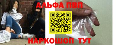 СК Кингисепп