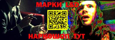 СК Кингисепп
