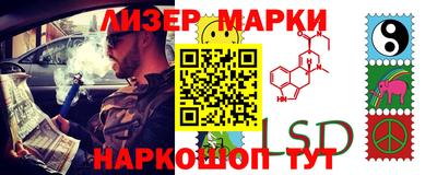 СК Кингисепп