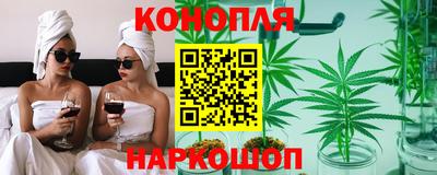 СК Кингисепп