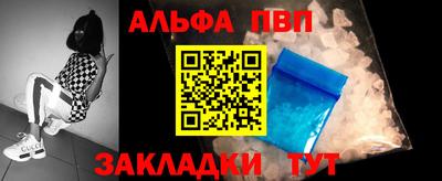 СК Кингисепп