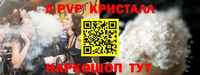 СК Кингисепп