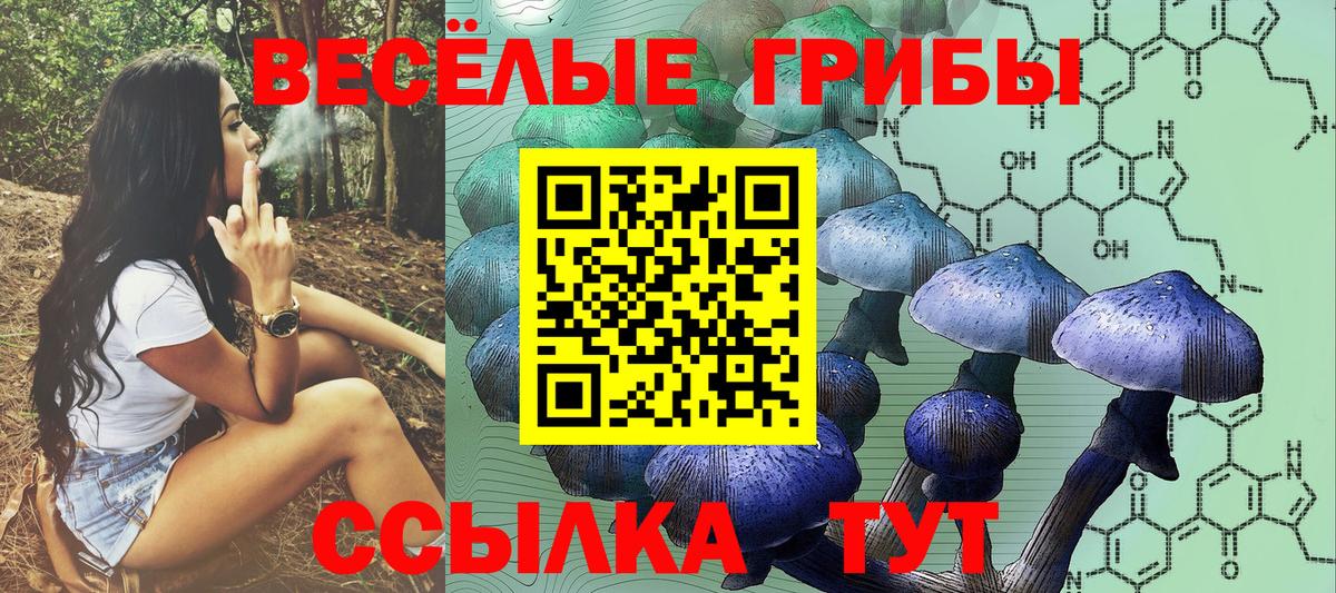 Псилоцибиновые грибы прущие грибы Ярославль