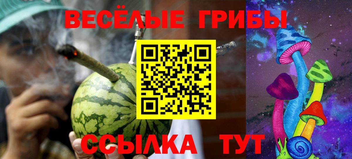 Ярославль  Галлюциногенные грибы прущие грибы  Вход с VPN  Галлюциногенные грибы Cubensis 